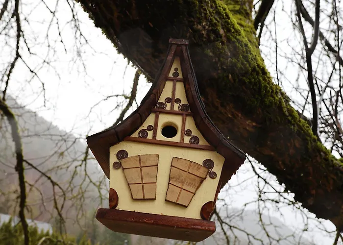 House Prezlc شقة *